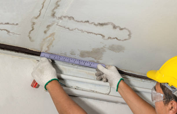 Reliable Basement Water Removal contractor in Lewisville, NC by Water Damage Irwin